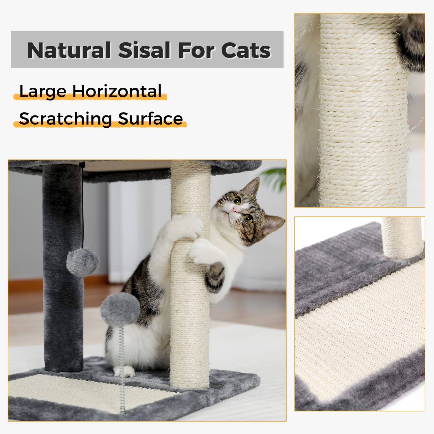 71yT6lI5ofL._AC_SL1500_.jpg